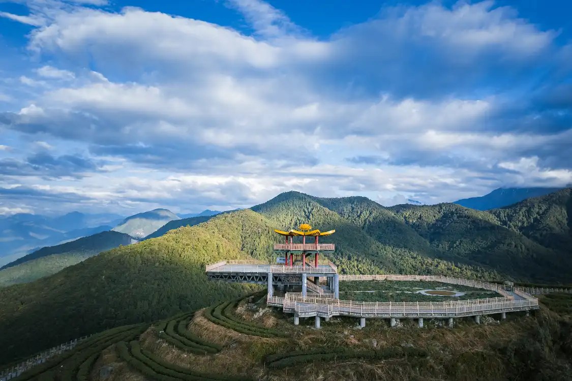 Hotels near Green Village Observation Deck