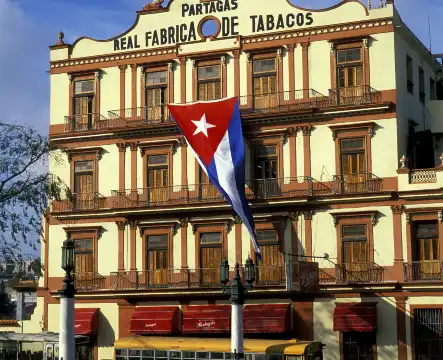 鄰近帕塔加斯雪茄煙製作工廠的酒店