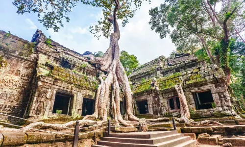 Ta Prohm Temple