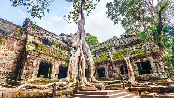 Ta Prohm
