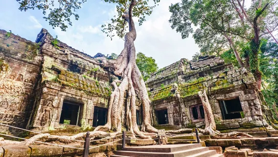 Ta Prohm