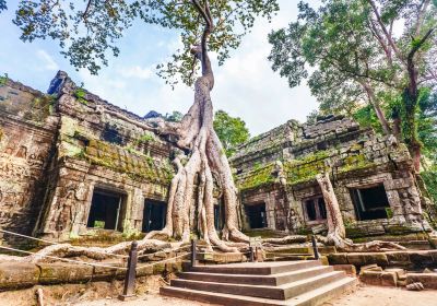 Ta Prohm Temple