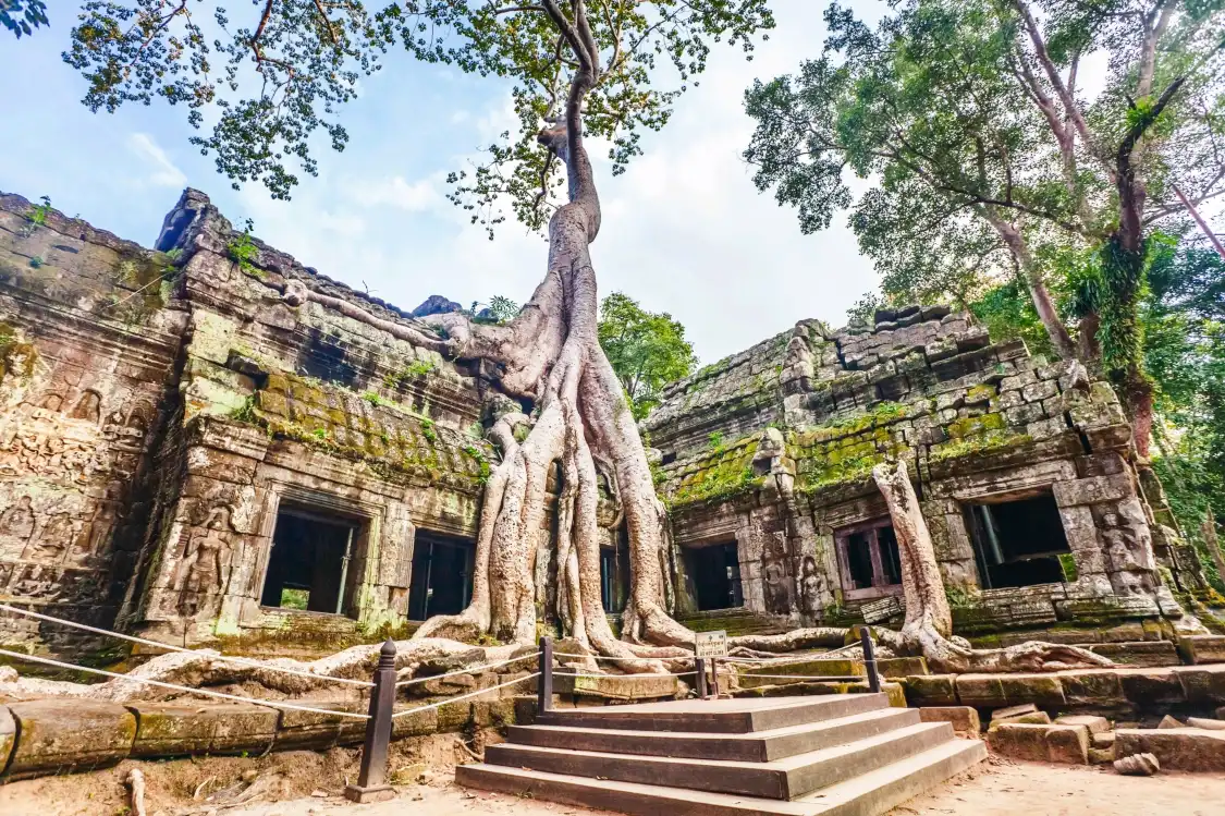 Hôtels à proximité de : Ta Prohm