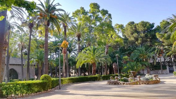 Parque de Teodoro Gonzalez