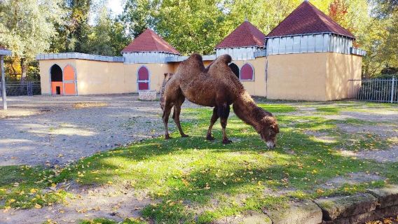 Tierpark Aachen