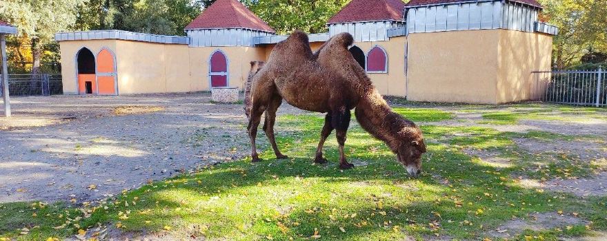 Tierpark Aachen