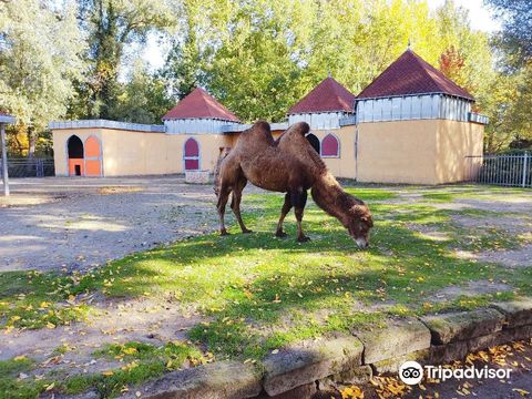 Tierpark Aachen
