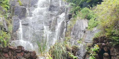美麗園林花木