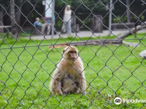Raritatenzoo Ebbs