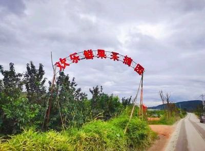 Fresh Fruit Picking Garden Ecological Farm
