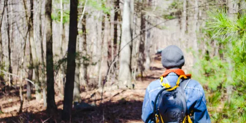 藍山自然保護區