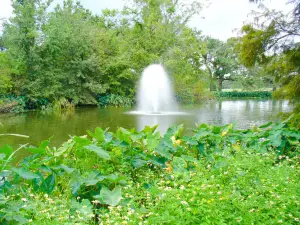 Audubon Park
