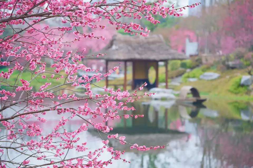 4_Huanhuaxi Park