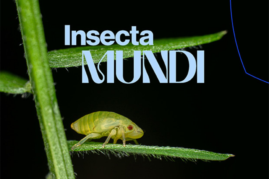 Frédéric Lavoie. Insecta Mundi | The Biosphere, Environment Museum