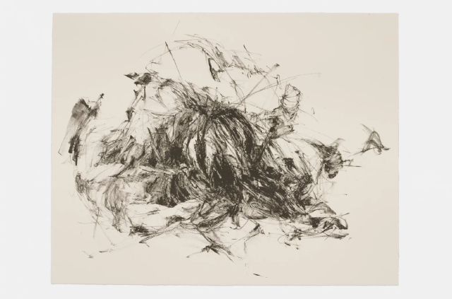 Christine Ay Tjoe  Covered and Cover | White Cube New York