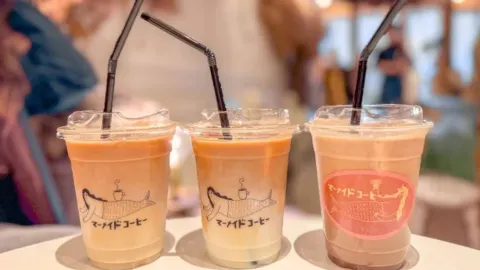 Mermaid Coffee Roasters in Sapporo