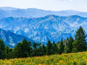駝樑風景區