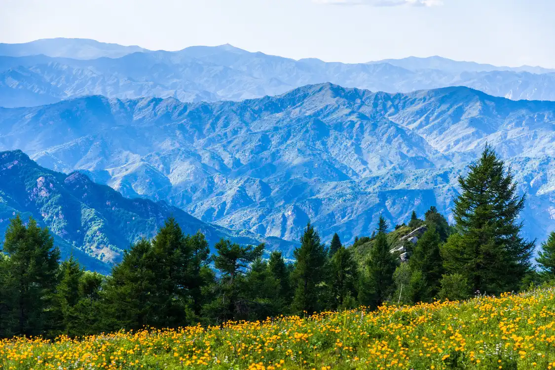 Hotels near Tuoliang Scenic Area