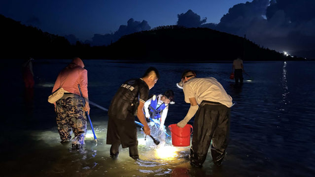 Wanning Sea King Club