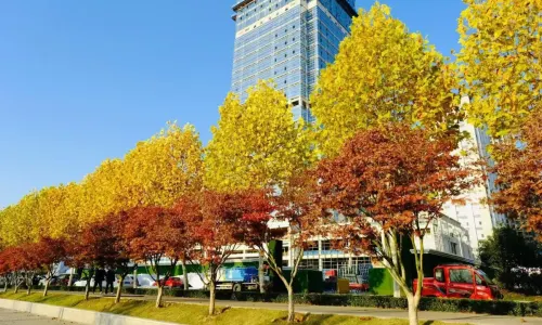 Binjiang Park