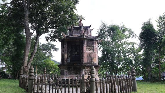 Jingmai Mountain Ancient Tea Forest - Octagonal Tower