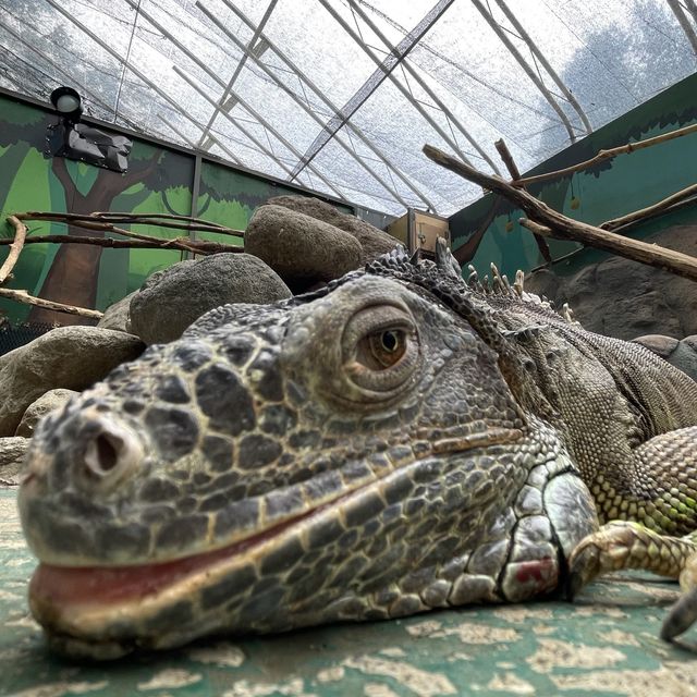 【北海道】日本一危険な動物園！