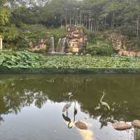 青衣好去處