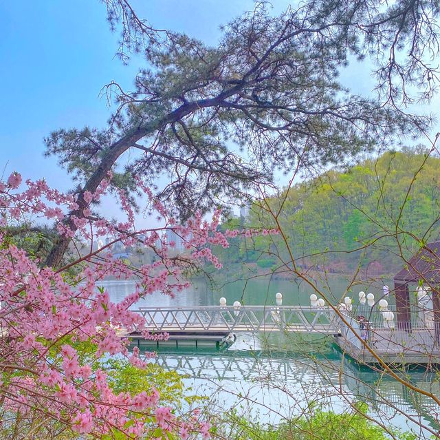 강아지와 산책하기좋은 광교호수공원