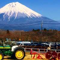 【富士宮】まかいの牧場で動物と遊ぼう