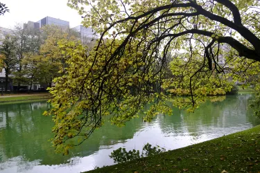 Rhyl Botanical Gardens