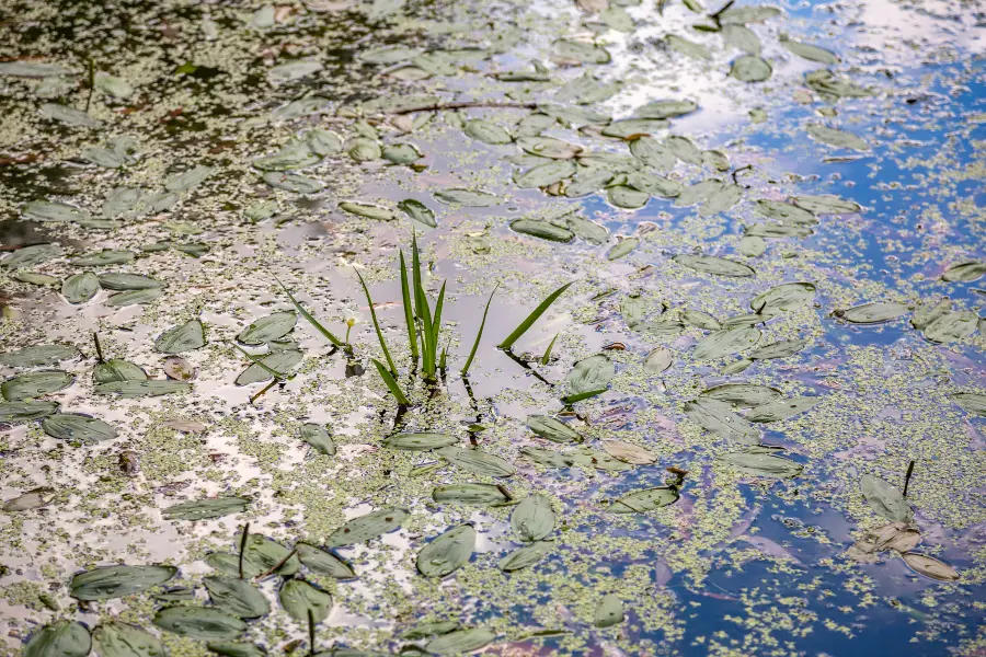 禾木黑湖