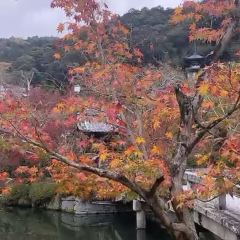 CLUB METRO User Photo