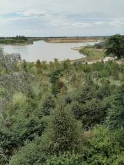 Miaomiaohu Natural Ecological Zone