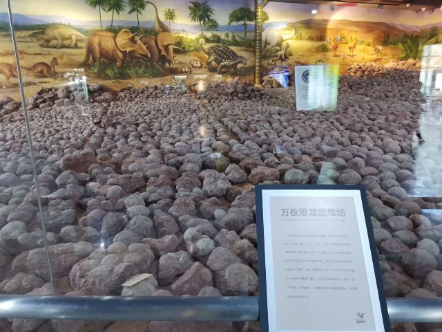 Heyuan City Museum (Heyuan Dinosaur Museum)