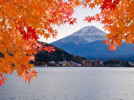 Lake Kawaguchi Kitahara Museum Happy Days