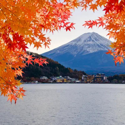 富士河口湖の富士芝桜まつり周辺のホテル