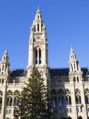 Rathaus der Stadt Wien