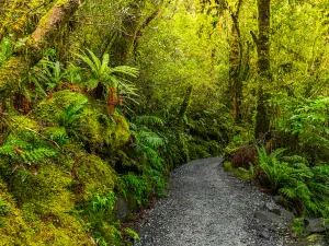 Fiordland National Park