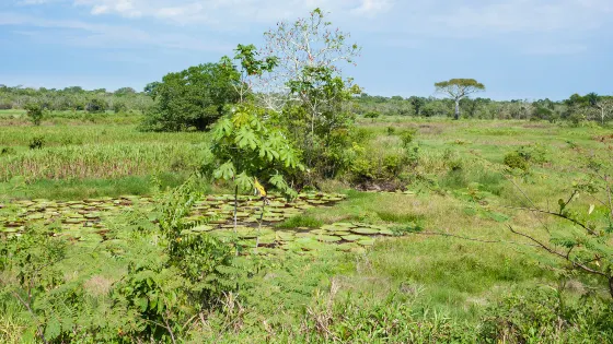 湖南耒水國家濕地公園