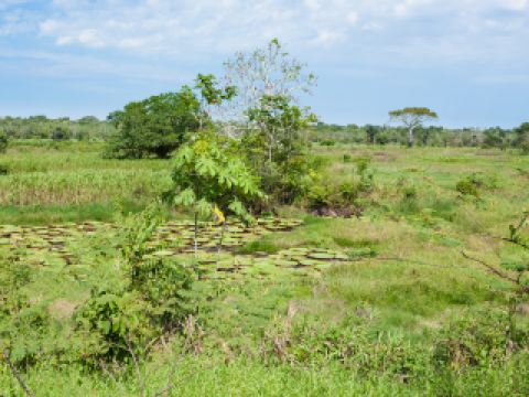 耒陽10大最佳頂級飯店排名