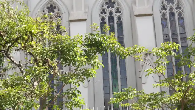 Singapore + St. Andrew's Cathedral + Chinatown + Clarke Quay + Old Hill Street Police Station private charter