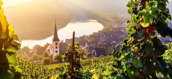 Apartments in Rhineland-Palatinate, Germany