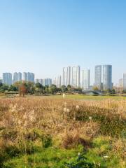 Malanwei Wetland Park