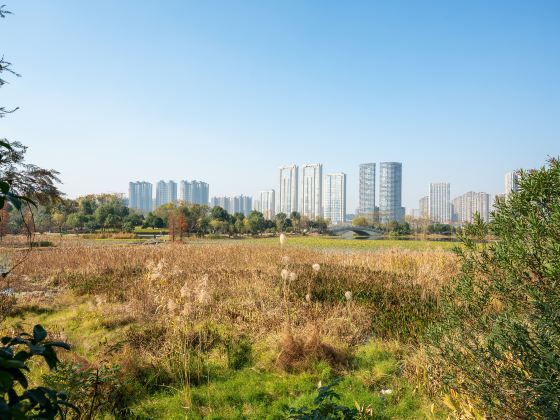 馬蘭圩濕地公園