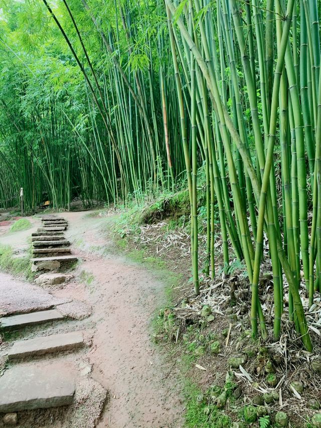 Bamboo Canyon Scenic Area (Jinji Valley)