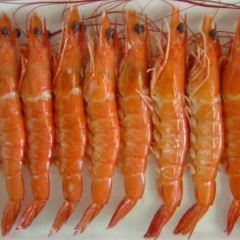 Dong Rong Xi Jia City Hui Ke Seafood Restaurant (Yalong Bay) User Photo
