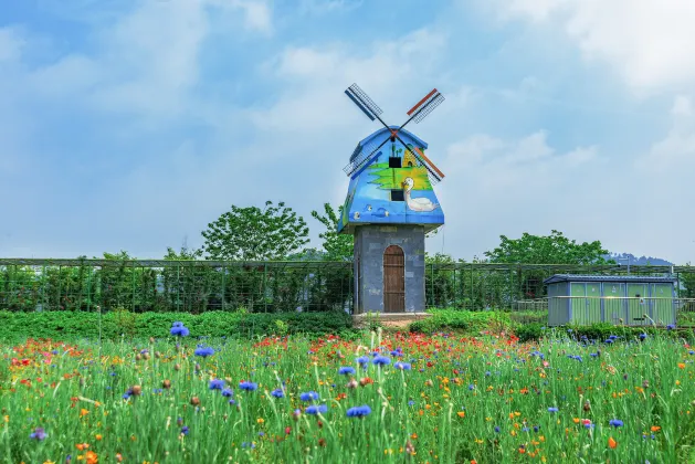 4-звездочные отели в г. Иу