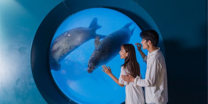 Qingdao Underwater World