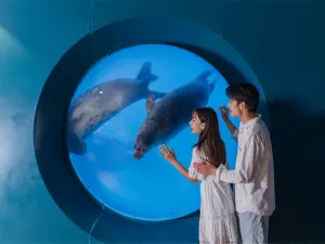 Qingdao Underwater World