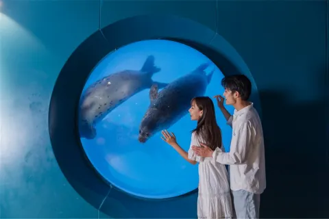 칭다오 해저세계/언더워터월드